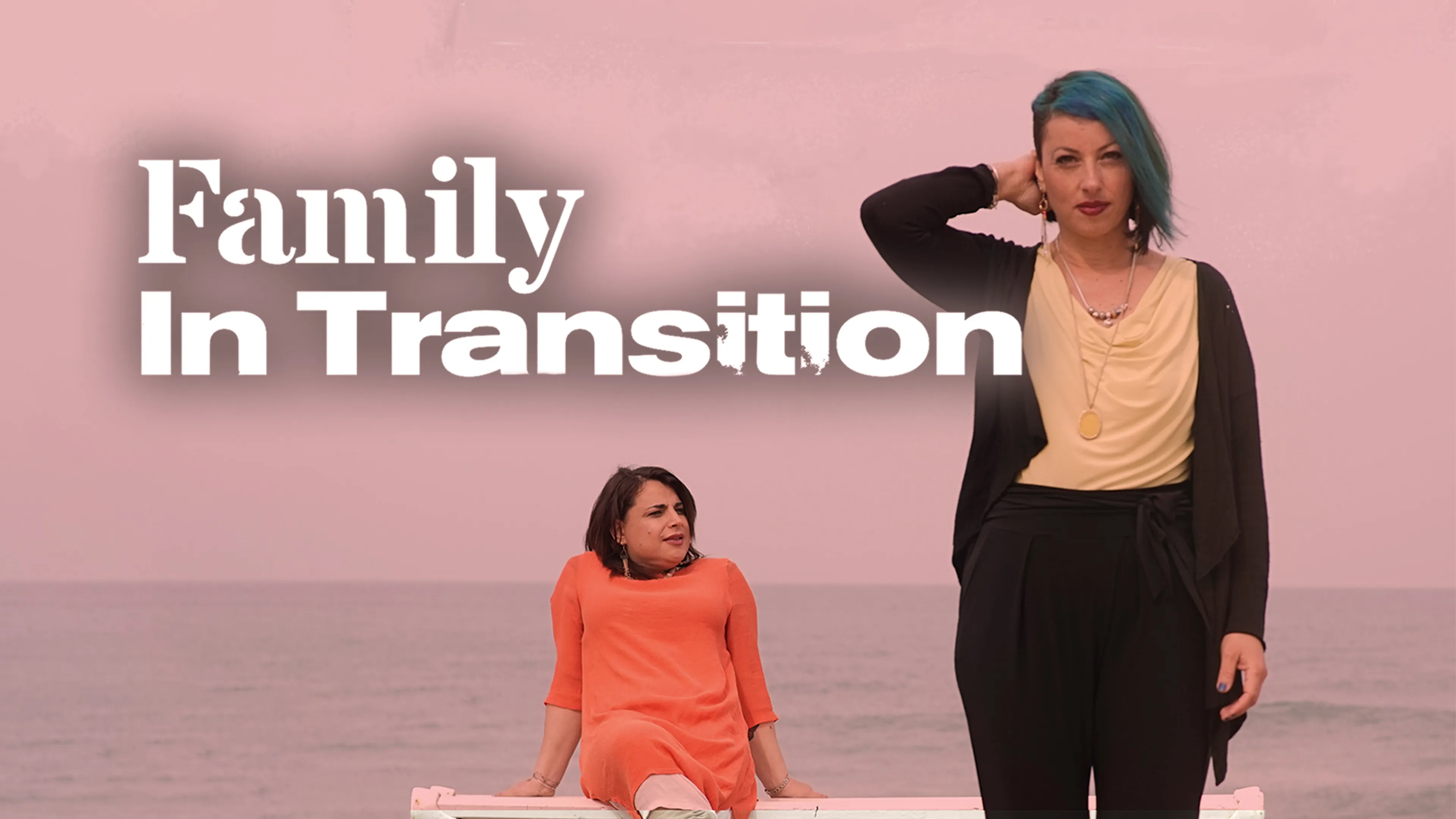 Family in Transition poster